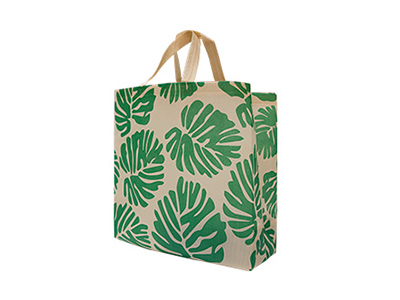 Printed Non Woven Box Bag